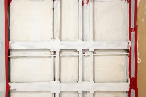Best Mold Damage Restoration  in Central Square, NY