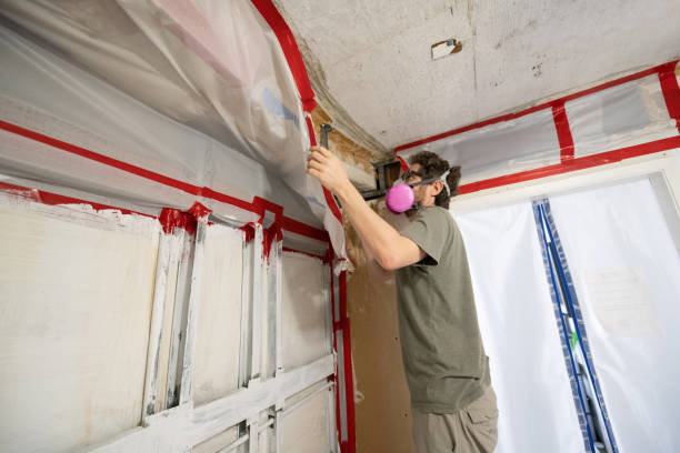 Professional Mold Removal in Central Square, NY