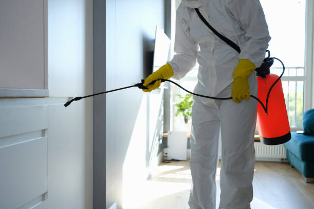 Best Mold Odor Removal Services  in Central Square, NY