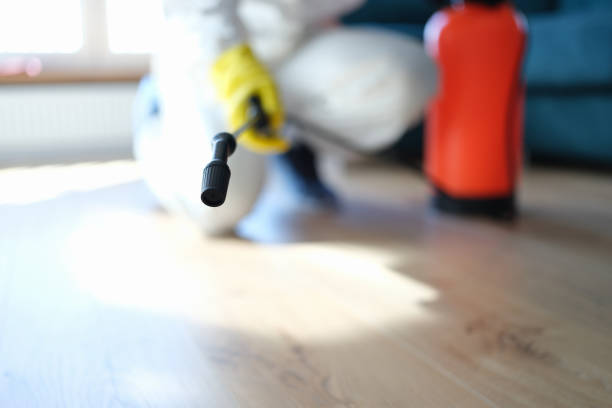 Best Residential Mold Inspection & Testing  in Central Square, NY