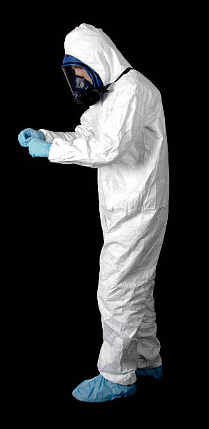 Reliable Central Square, NY Mold Removal Solutions